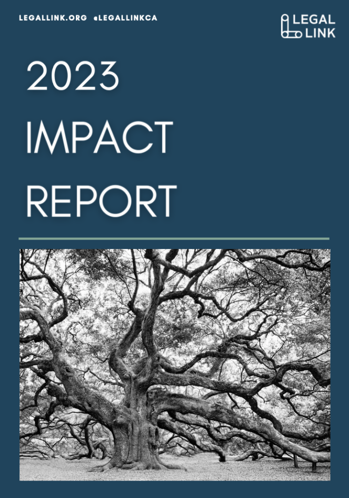 Legal Link is proud to release our 2023 Annual Report! We invite you to learn more about the impact of Community Justice Workers.